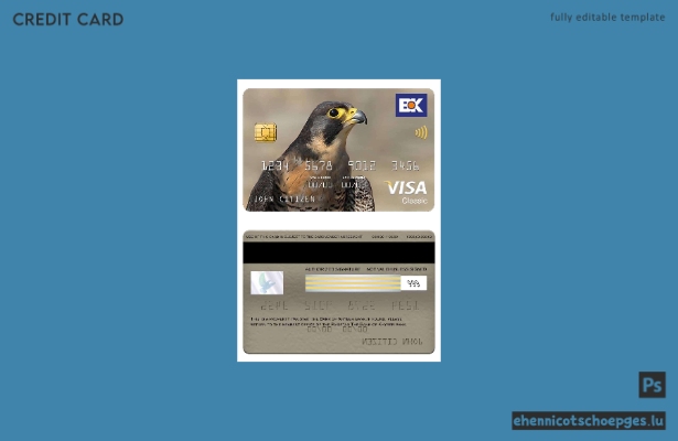 Pakistan Bank of Khyber Bank Visa Classic Karte – Beispielvorschau